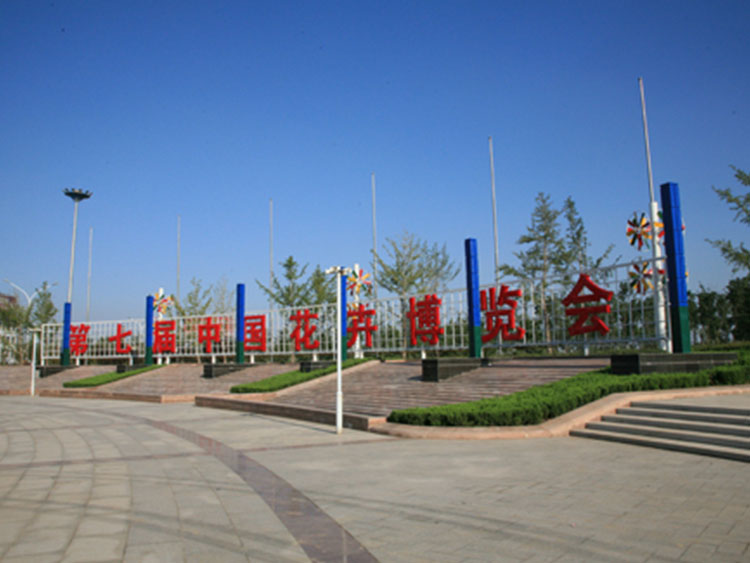 01.jpg