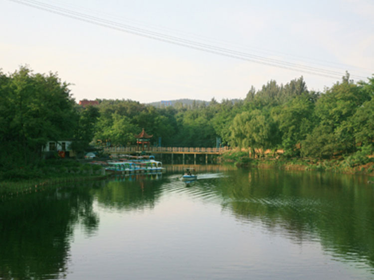 01.jpg